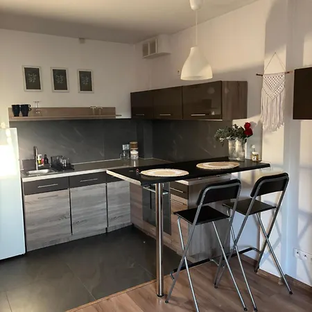 Vistula Kazimierz Old Town Cracovie