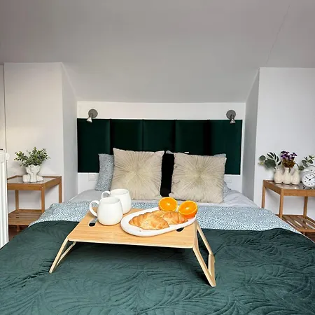 아파트 Vistula Kazimierz Old Town *